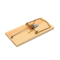 , 17 X 8 , , Greengo