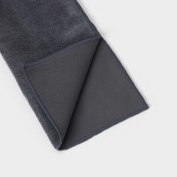    Raccoon  , 30x40 , ,  