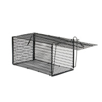 , 36 X 17 X 17 , , Greengo