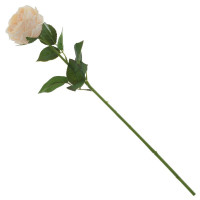   , L9 W6 H60 