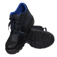    Prosafe Basic 12,  ,  45