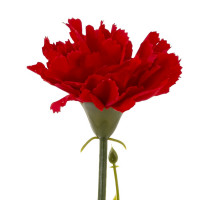 ������ ������������� ��������, L7 W7 H30 ��