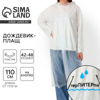 �������� �������� ���� �����������, ������ 42-48, ���� �����