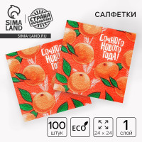 �������� �������� ���������� �������� ������ ����, 24 ��., ����� 100 ��.