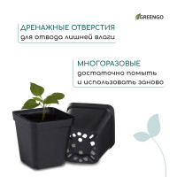   , 200 , 6.5 6.5 7 , , , Greengo