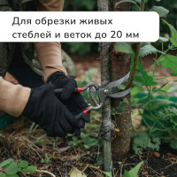  , 10 (25 ),    , Greengo