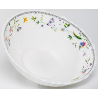  Olaff , 500 , D=15.5 