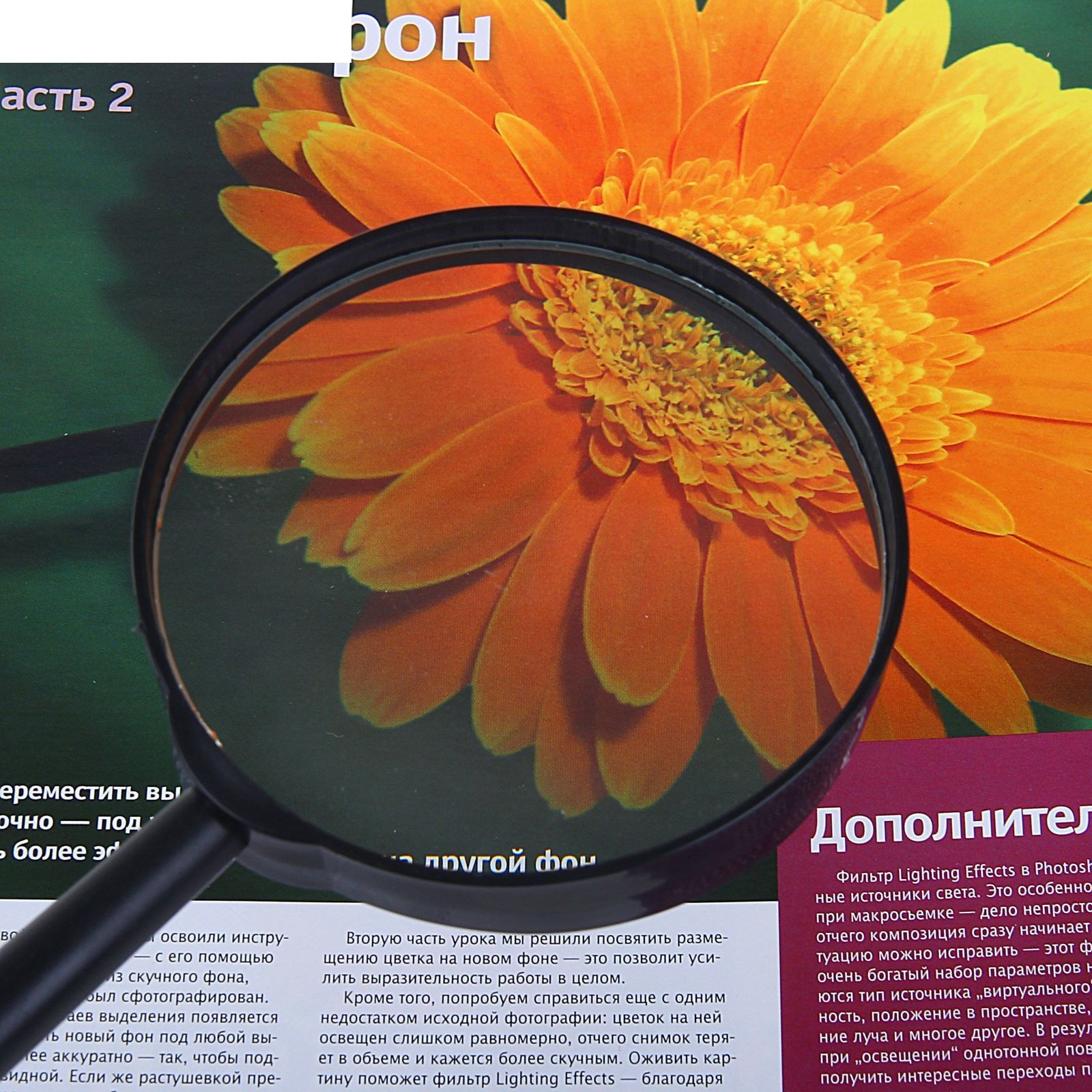 Лупа сувенирная классика х6, цвет черный (486427) купить в интернет ...