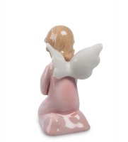 Cms-11/ 2  - (pavone)