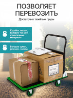   ,   ,   300 , , Greengo