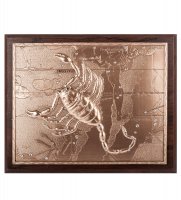 ����� ���� ������� �������� 20�25