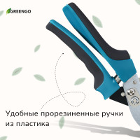  , 9 (23 ),   , , Greengo