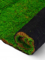  , ,  1 1 ,  , Greengo