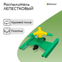  3-,  , Abs , Greengo