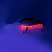 ������ Namazu Guttatus, L-65 ��, 15 �, ���, ���������, 3.5-5.0 �, ���� �12