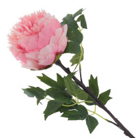   , L20 W20 H71 