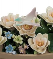 Cms-33/59     (pavone)