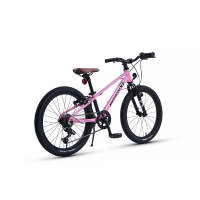  20 Maxiscoo 7bike M200,  