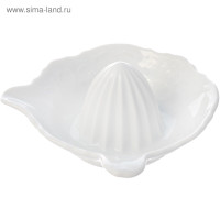 ������� ��� ������ Bernadotte, ����������������