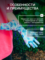  ,   ,  8,  , Greengo