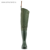   Torvi    ,  ,  43-44