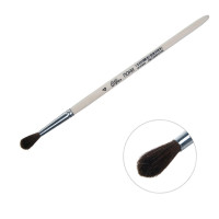   ,    4 (  4 ;   18 ),  , Calligrata