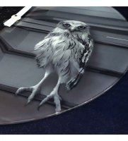 Slt-14   owl