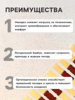 - Torso,    , 43 115 , , 