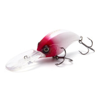  Namazu Hippocampus L-60 , 18 , , , 2.5 - 4.5 ,  1