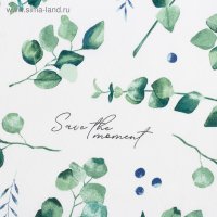  "" Eucalyptus 220144 , 100% , 164 /2