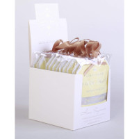   Sofi De Marko The Tulip Garden