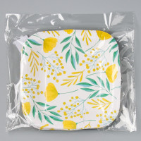 ������� ����������� �������� ���������� "�����������",������,�����, 16,5�16,5 ��