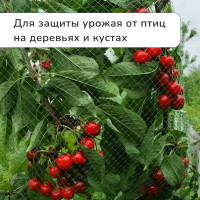  , , 5 2 ,  15 15 ,  , Greengo
