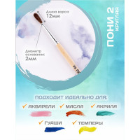   ,    2 (  2 ;   12 ),  , Calligrata