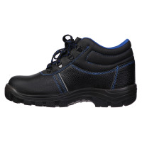    Prosafe Basic 12,  ,  45