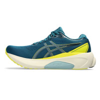    Asics Gel-kayano 30,  9,5 Us