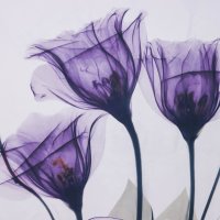      , 180x180 
