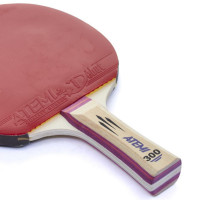     Atemi 300 Cv