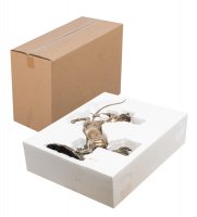 Ws-858 ��������� �������