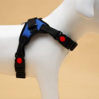  7  ,  S,  44-55 ,  5-9 , 