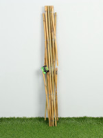  , 90 90 , , Greengo