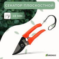  , 7 (18 ),   , Greengo