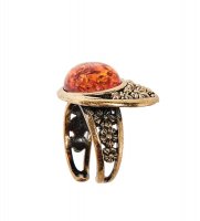 Am-2496 ������ ������ (������, ������)