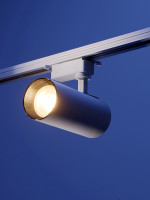   Luazon Lighting, Tsl-013, 30 , 2100 , 2800k, ,   
