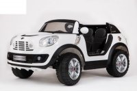 Mini Beachcomber (  ) 