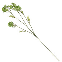 ������ �������������, L12 W11 H78 ��