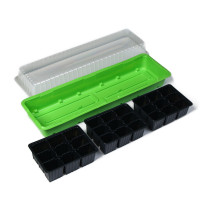 -  , 56   17   12 , 3 , 27 , , Greengo