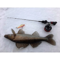    Lj Pro Series Basara Vib S, 8 ,  311