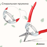  , 7 (18 ),   ,  , , Greengo