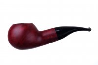  Sir Del Nobile Serena,  3